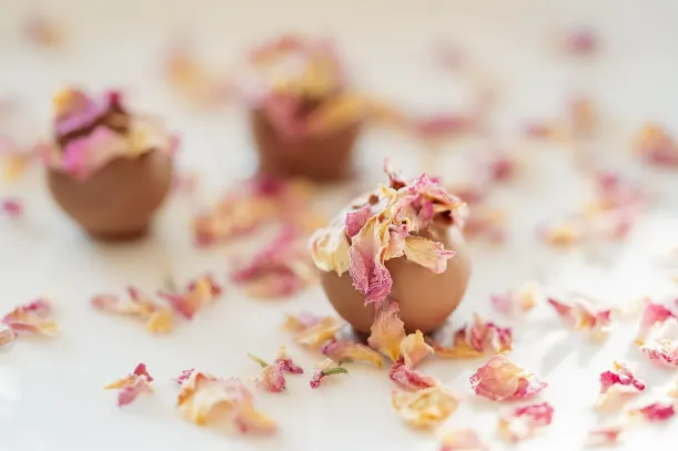 LottoKings Cazino Cazinou Aplicație Android/iOS